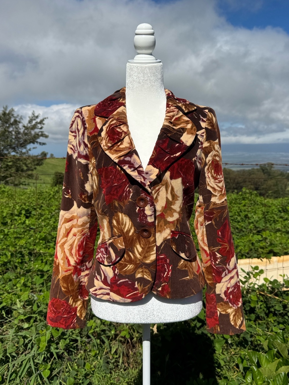 Classiques Entier Brown velvet rose ruffled victorian whimsiGoth Romantic XS